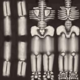 Skeleton Body 'Skin': 256x256
